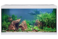 EHEIM Aquastar 54 LED Weiß - Aquarienset