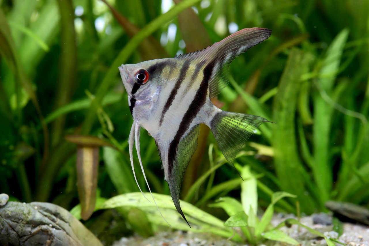 EHEM Geschaft 2 EHEM Geschaft -EHEM Geschaft